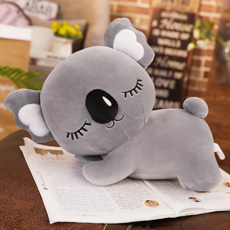 Koala kudde