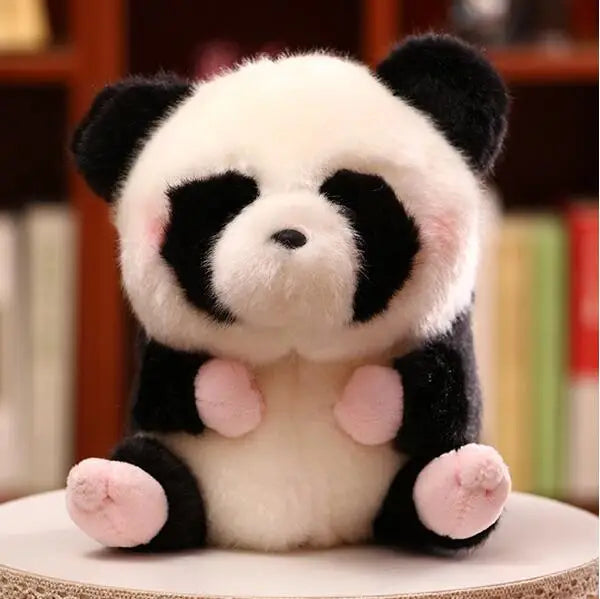 Panda, Boll