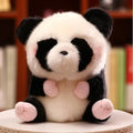 Panda, Boll