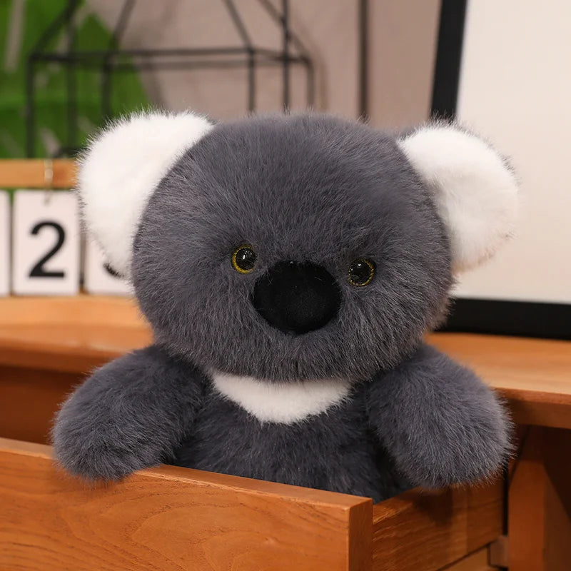 Fluffig Koala (30 cm)