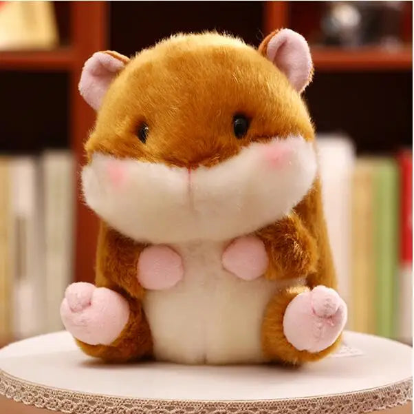 Hamster, Boll