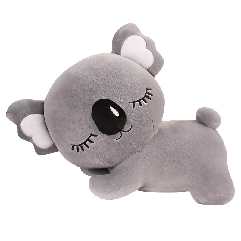Koala kudde