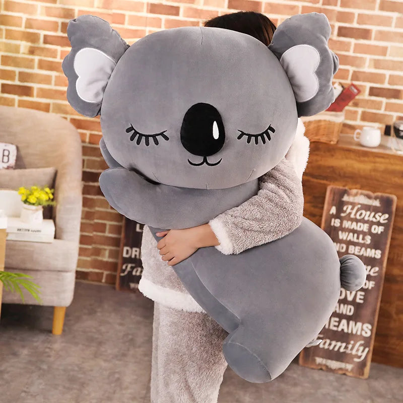 Koala kudde