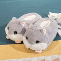 Varma vintertofflor (Hamster)