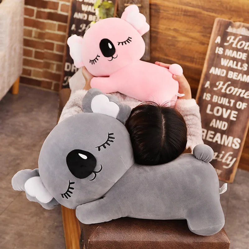 Koala kudde