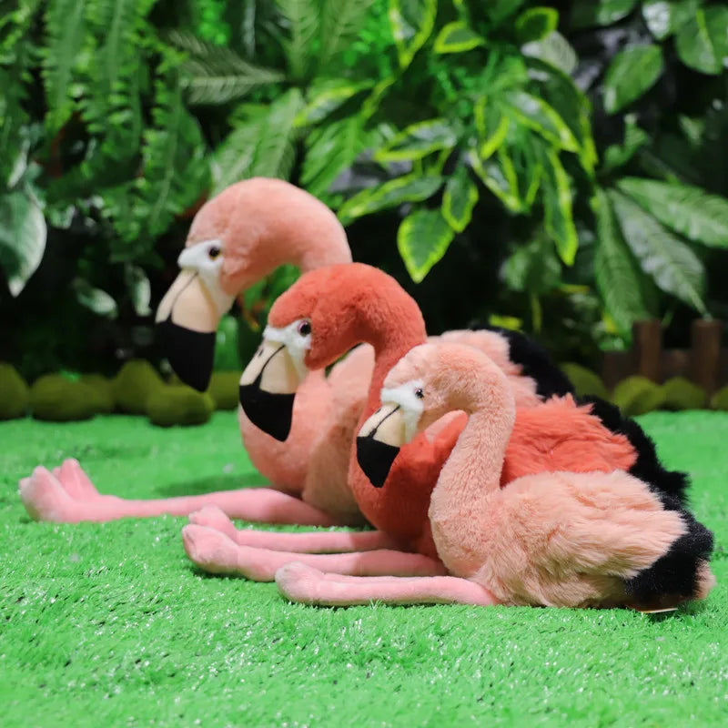 Realistiska Flamingos