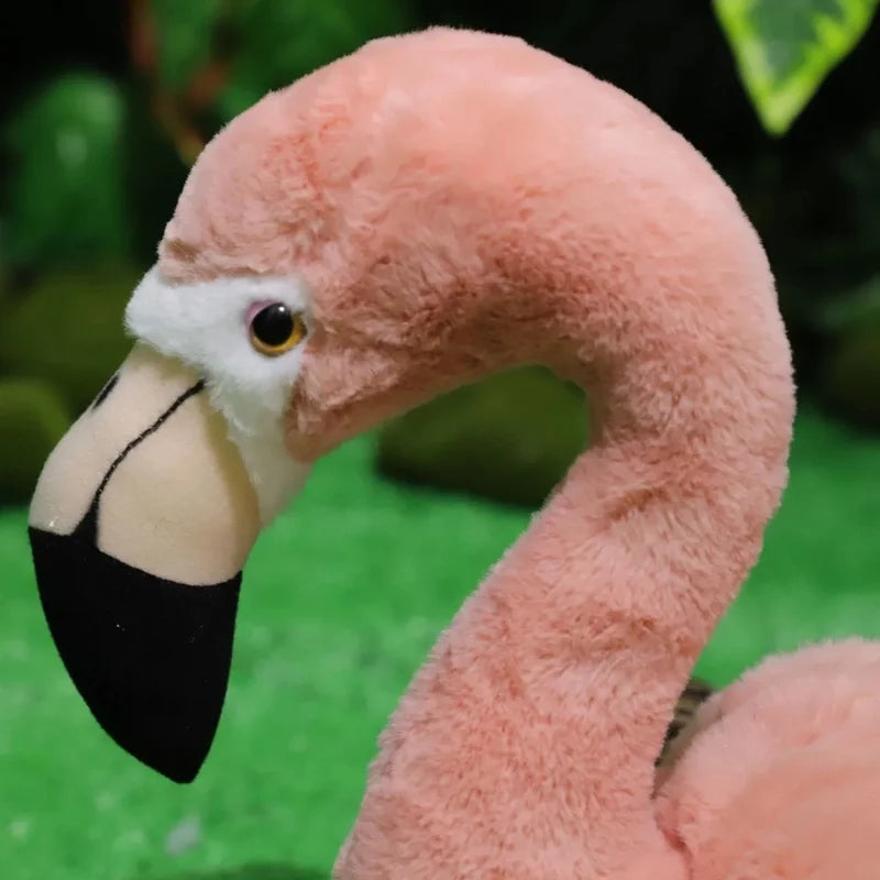 Realistiska Flamingos