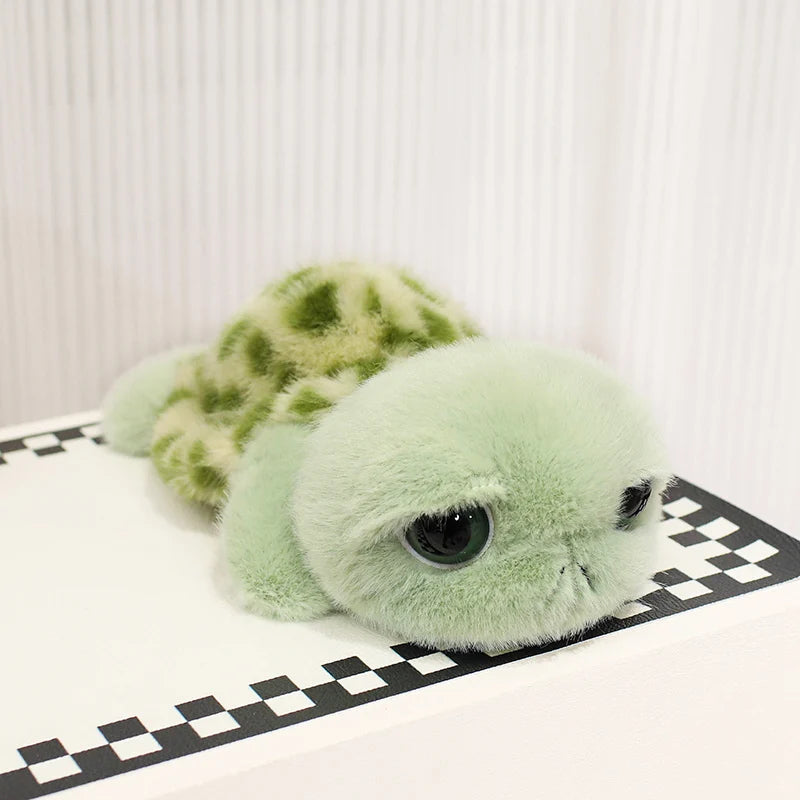 Sköldpadda, Stora ögon