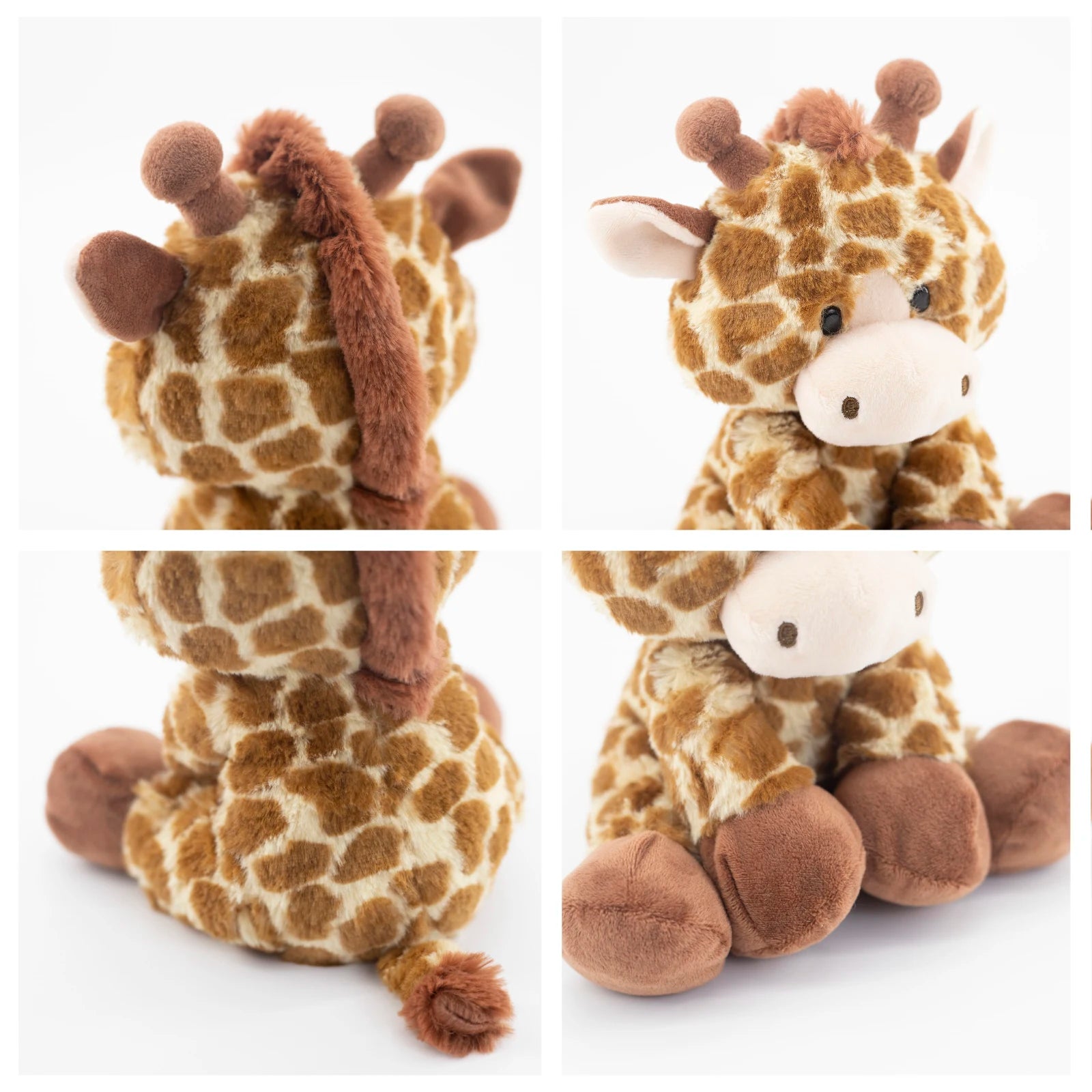 Söt Giraff, Unge