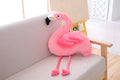 Flamingo, Mjukisdjur