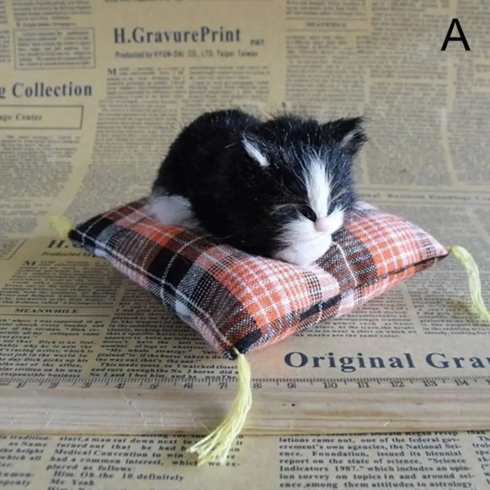 Sovande katt på kudde