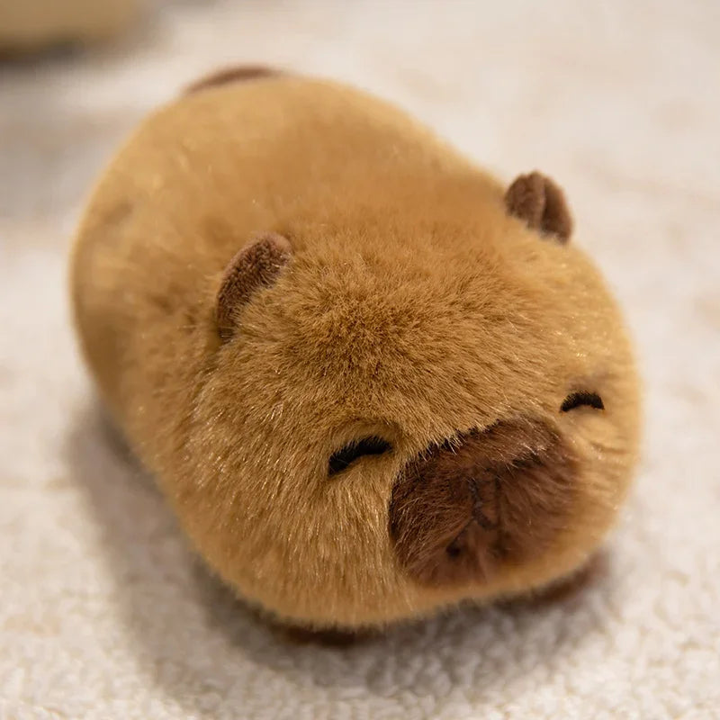 Knubbig & liggande Capybara