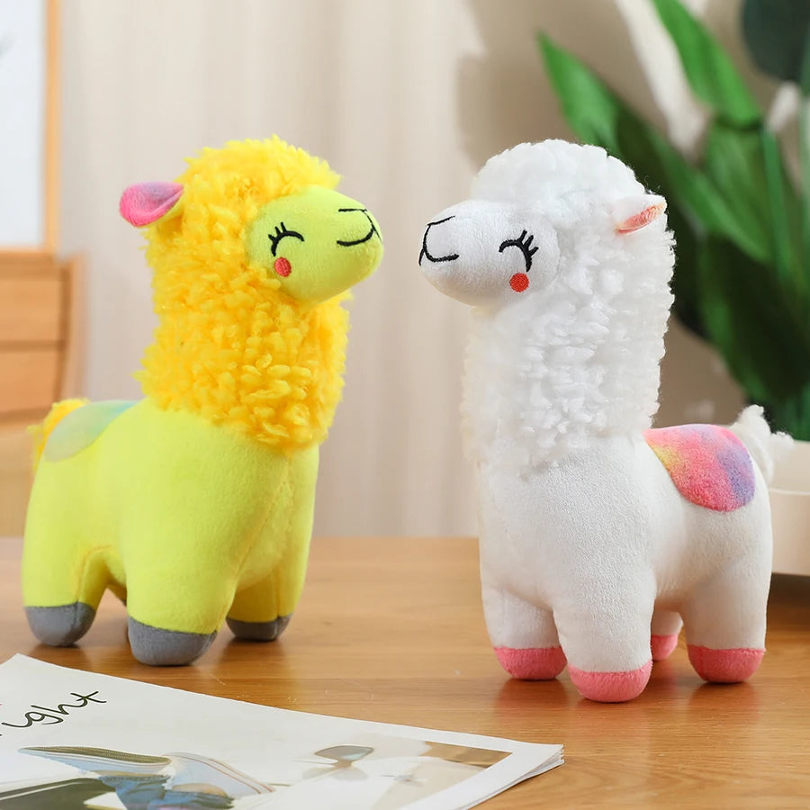 Alpackor i olika färger