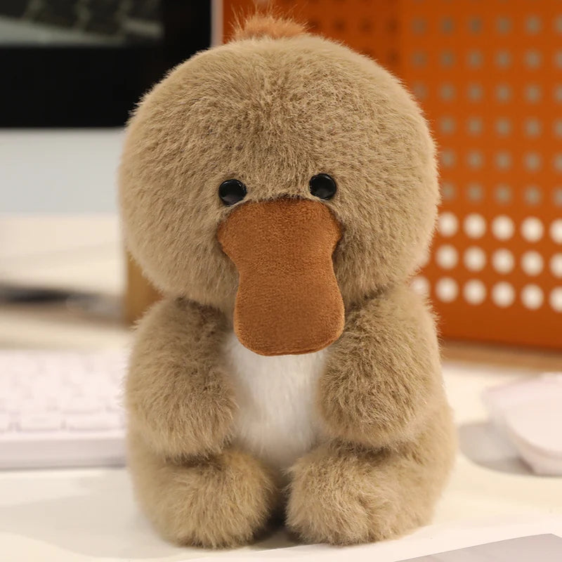 Näbbdjur, Liten (13 cm)