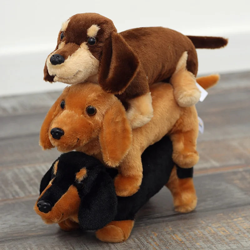 Mjukisdjur (Taxhund)