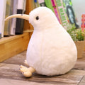 Kiwi, Plysch