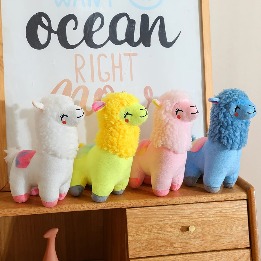 Alpackor i olika färger