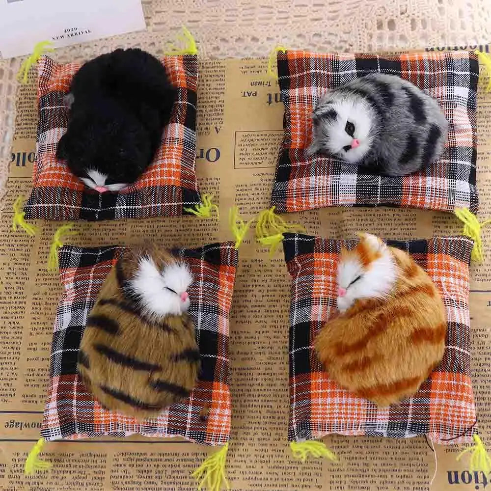Sovande katt på kudde