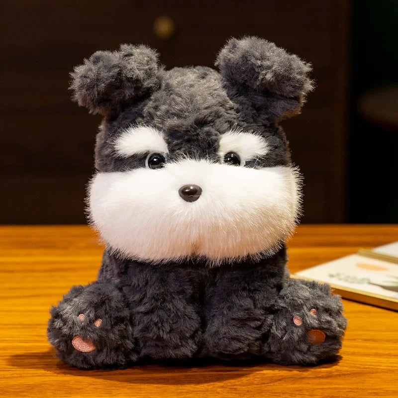 Fluffiga hundar