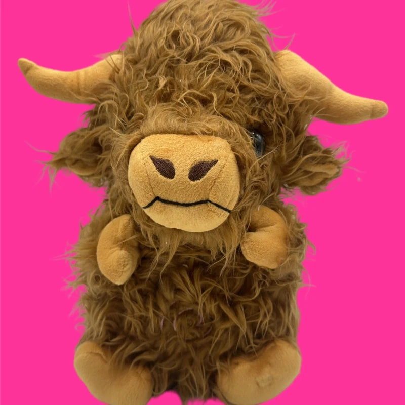 Highland kossa - Som andas