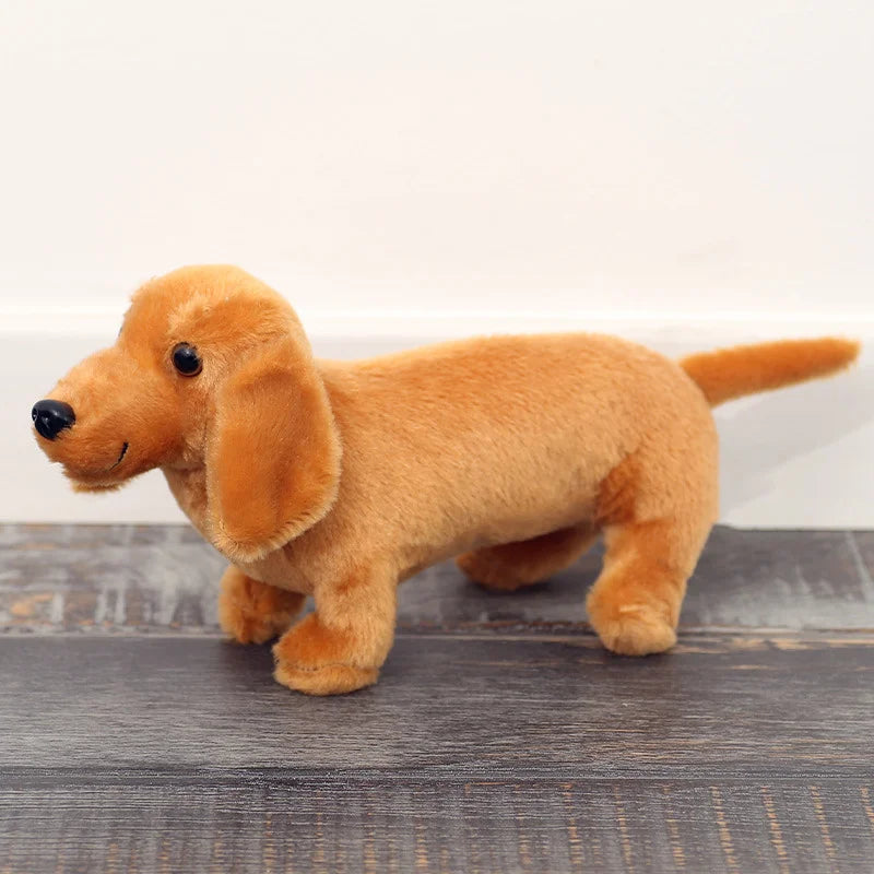 Mjukisdjur (Taxhund)