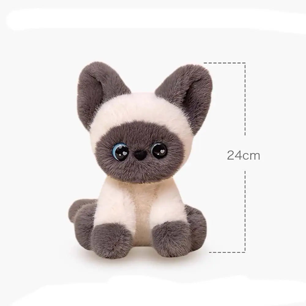 Supersöta katter, Gosedjur (Olika färger)