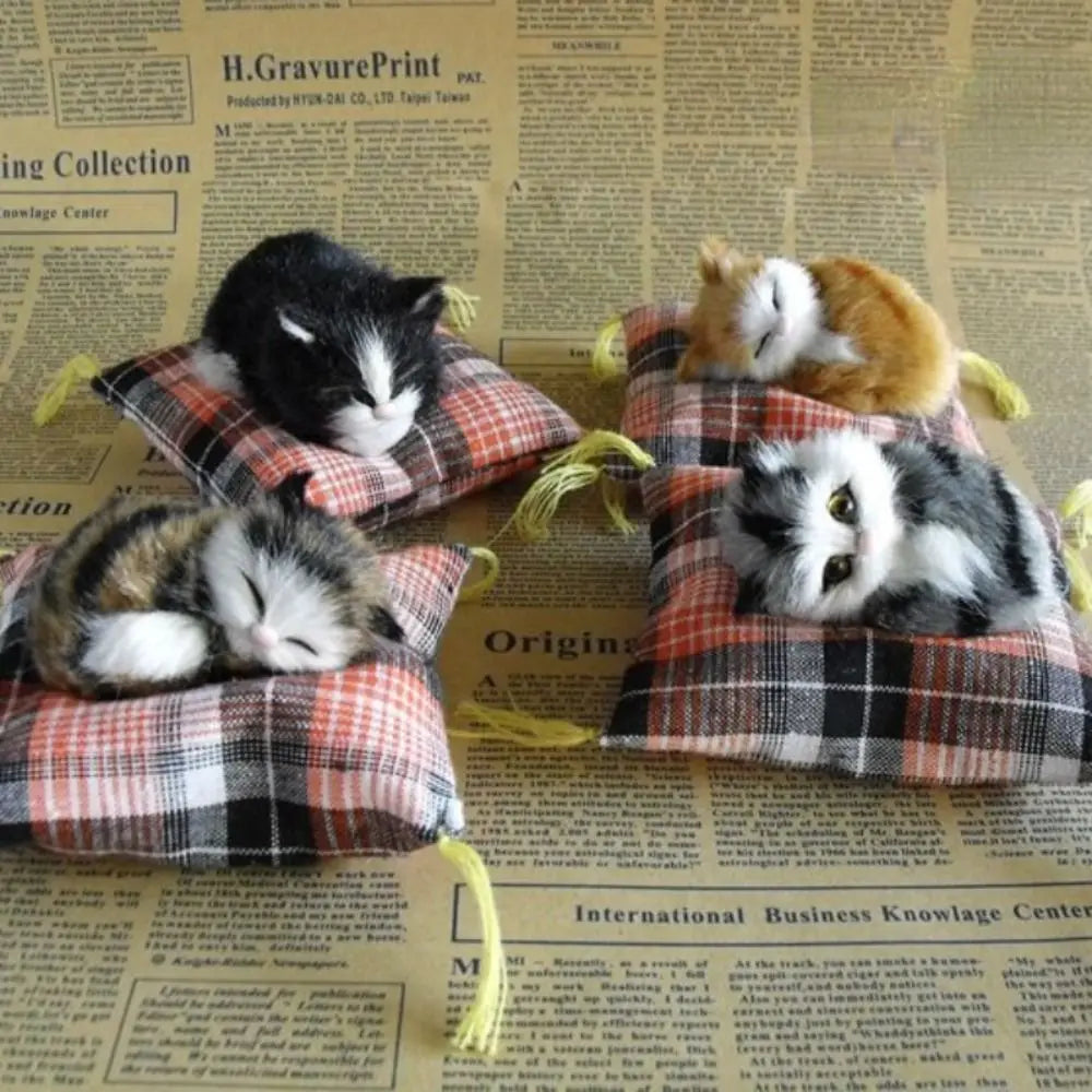 Sovande katt på kudde