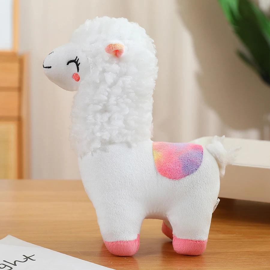 Alpackor i olika färger