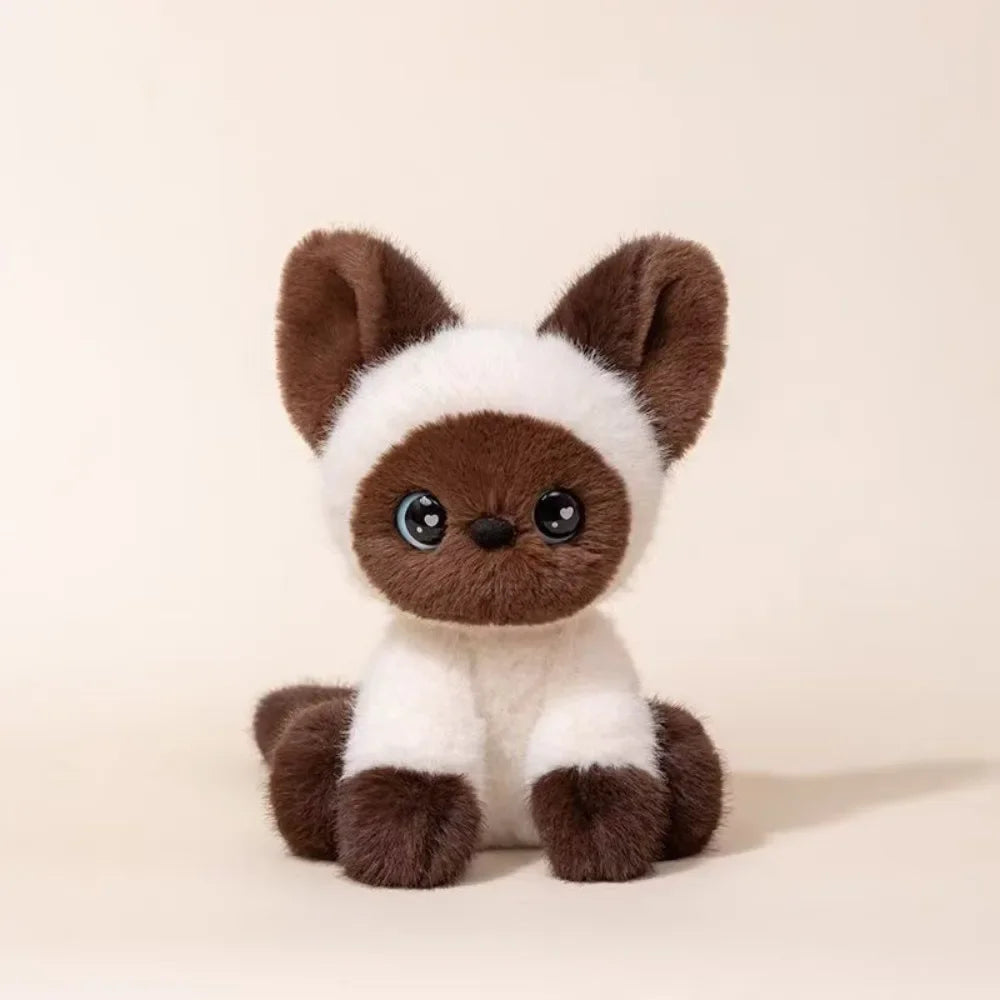 Supersöta katter, Gosedjur (Olika färger)