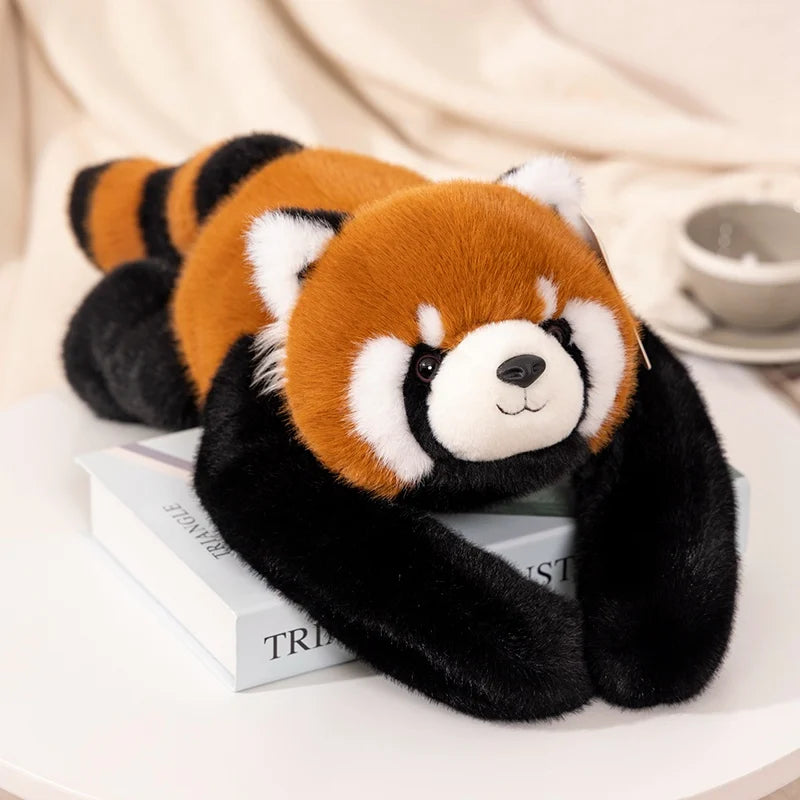 Röd panda med långa armar