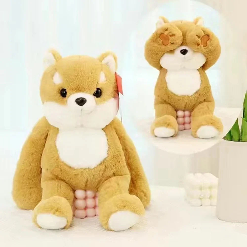 Shiba, Plysch