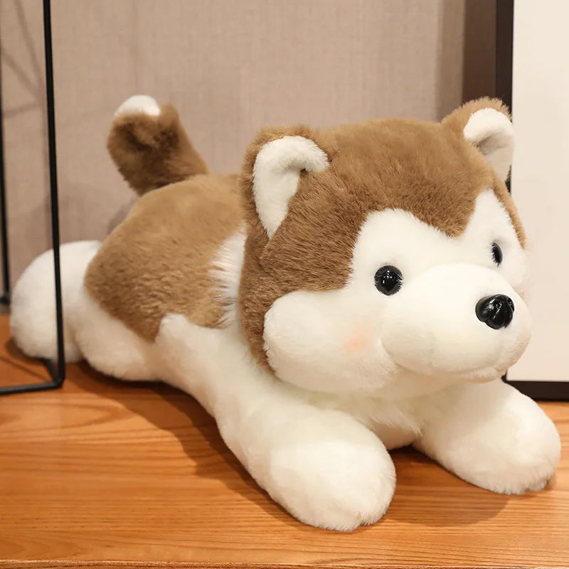 Husky hund, Mjukisdjur
