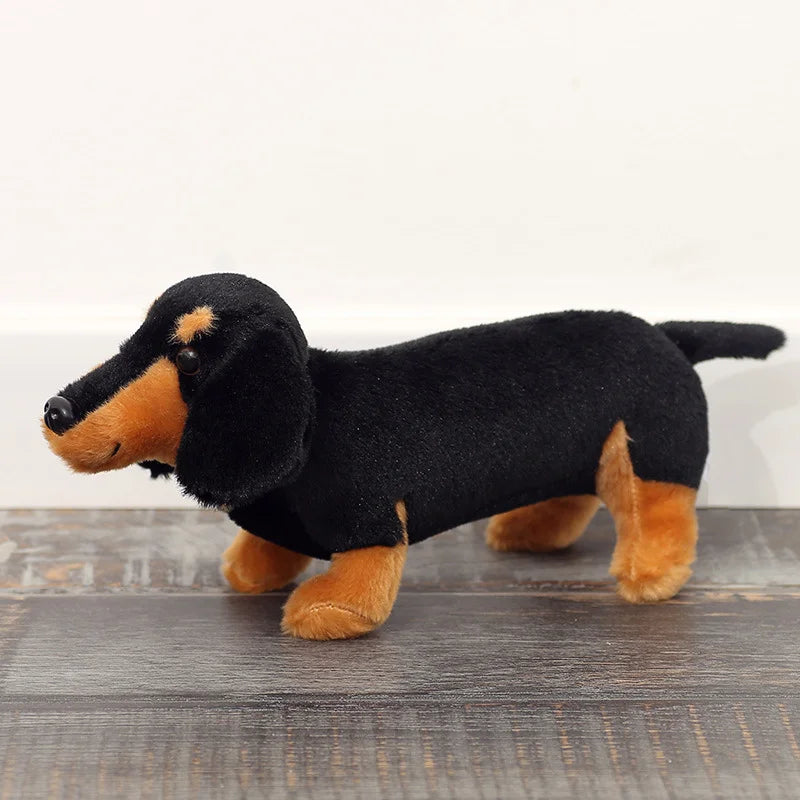 Mjukisdjur (Taxhund)