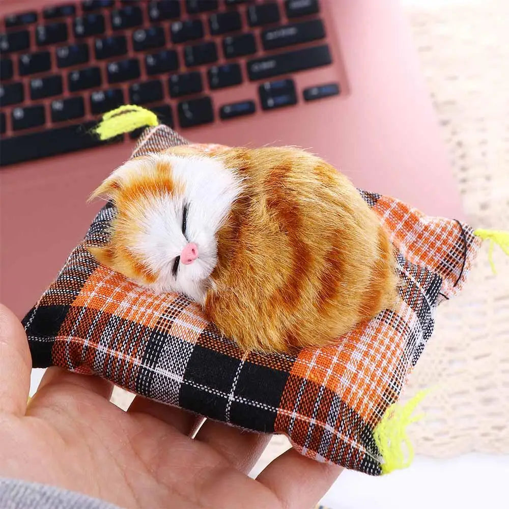 Sovande katt på kudde