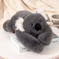Koala med långa armar