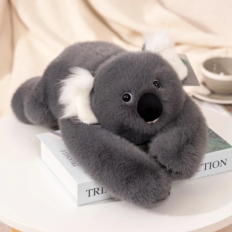 Koala med långa armar