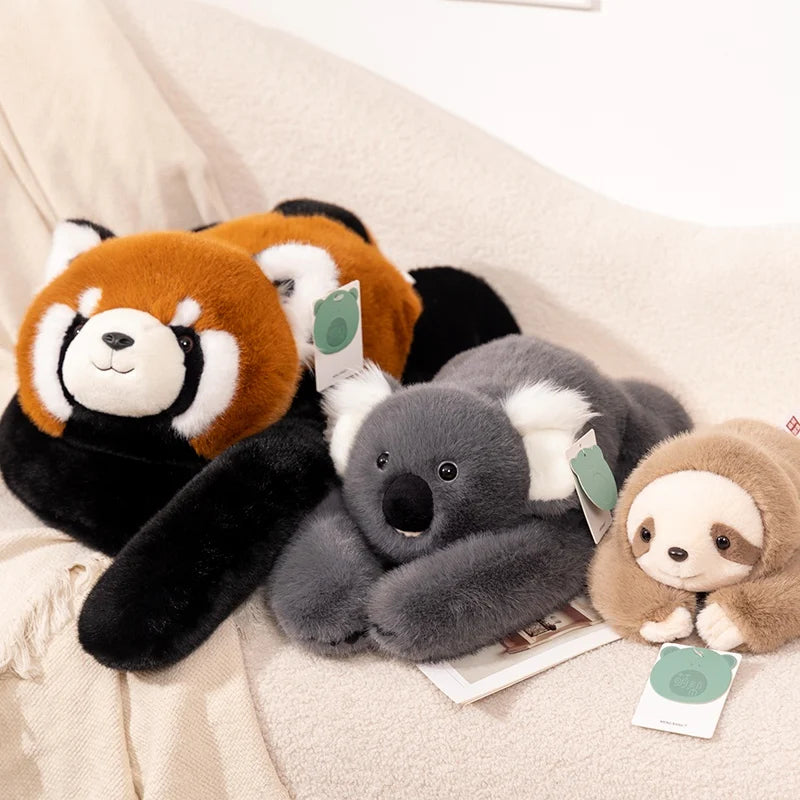Röd panda med långa armar