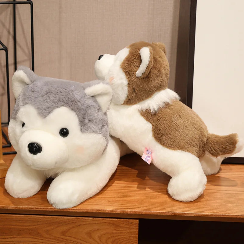 Husky hund, Mjukisdjur