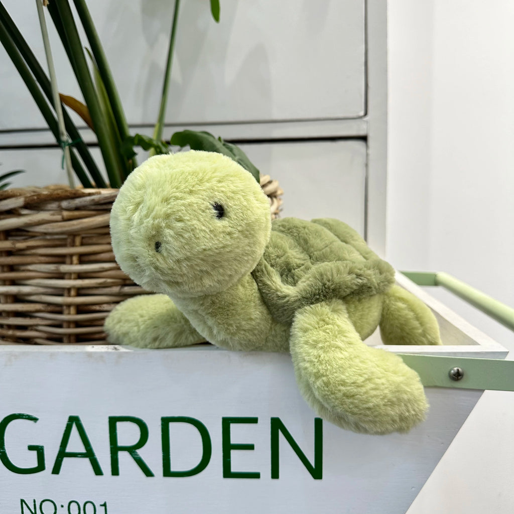 Sköldpadda, mattgrön