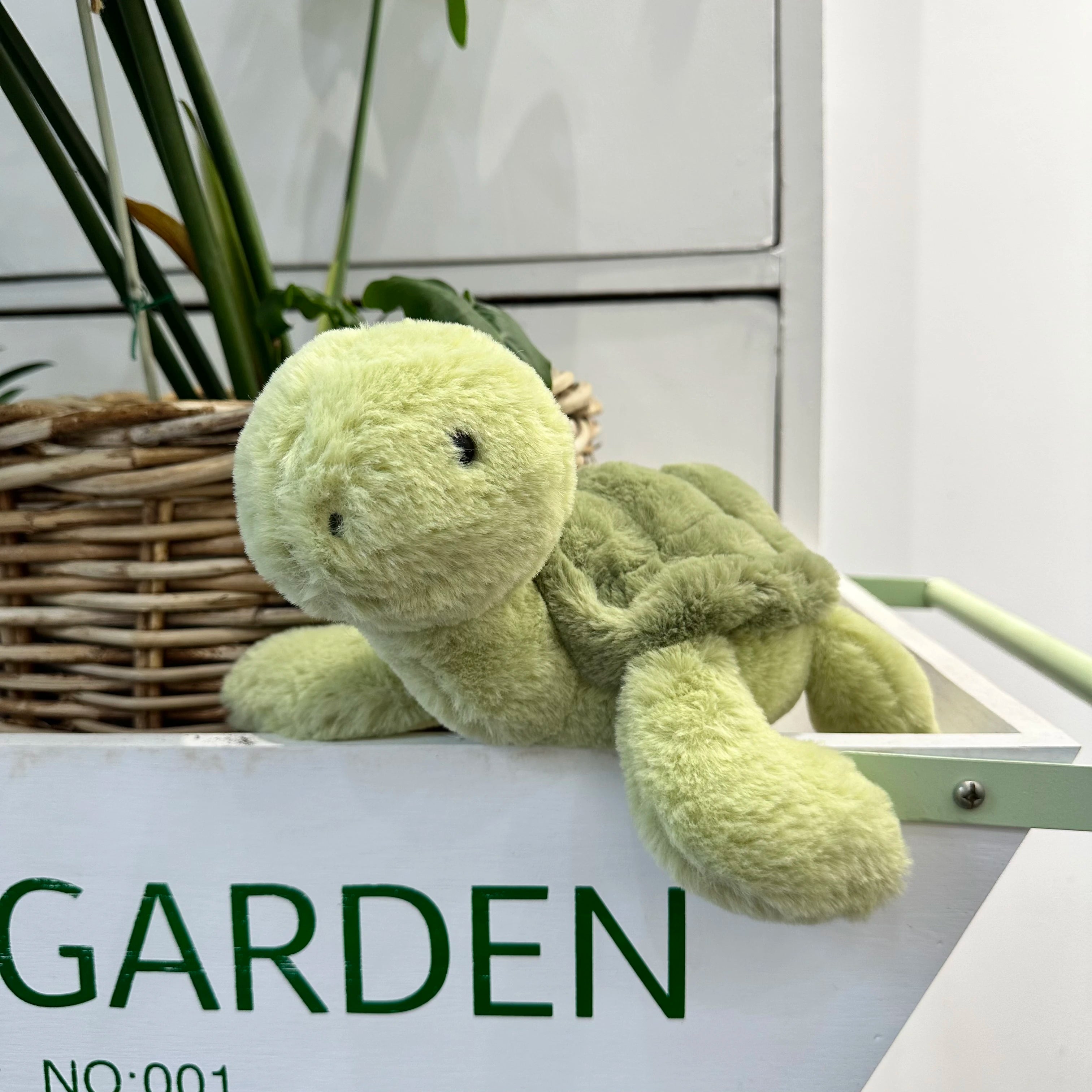 Sköldpadda, mattgrön