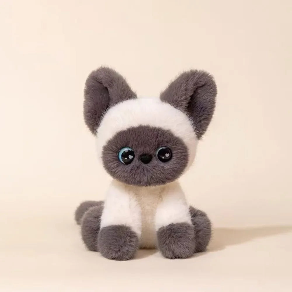 Supersöta katter, Gosedjur (Olika färger)