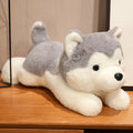 Husky hund, Mjukisdjur
