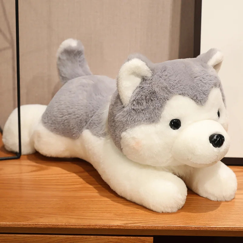 Husky hund, Mjukisdjur