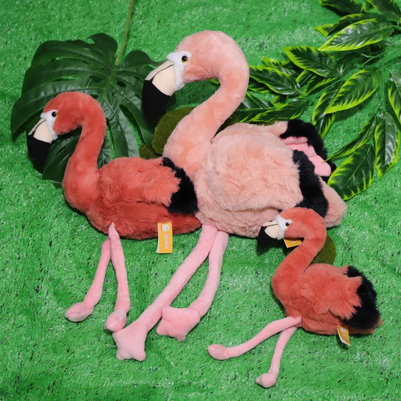 Realistiska Flamingos