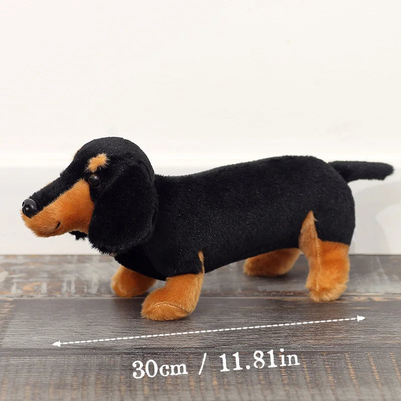 Mjukisdjur (Taxhund)