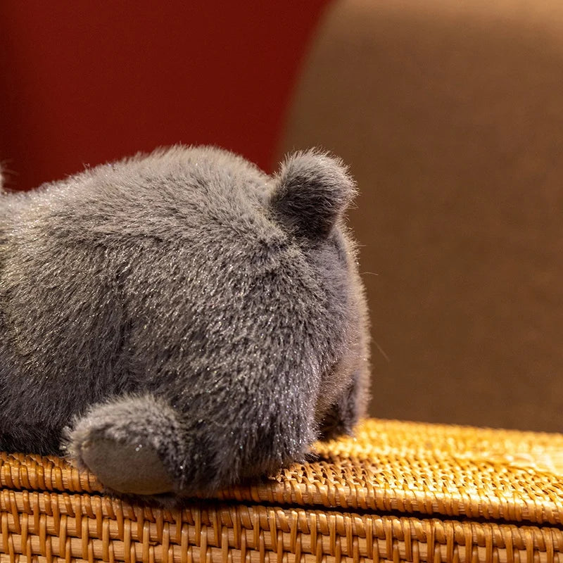 Liggande hundar (30 cm)